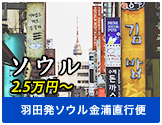 ソウル2.5万円～